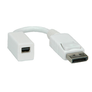 ROLINE adapter DisplayPort - mini DisplayPort M/F PC