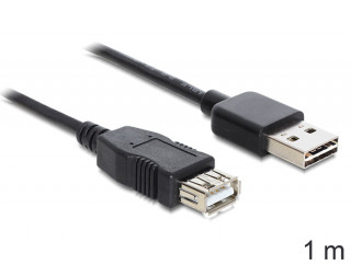 DeLock Extension cable EASY-USB 2.0 Type-A male > USB 2.0 Type-A female Black 1m PC