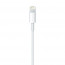 Apple Lightning - USB kábel 1m thumbnail