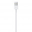 Apple Lightning - USB kábel 1m thumbnail