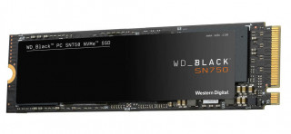 Western Digital 250GB M.2 2280 Black 3D Series WDS250G3X0C PC