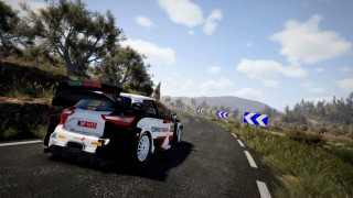 WRC 10 FIA World Rally Championship (Letölthető) PC