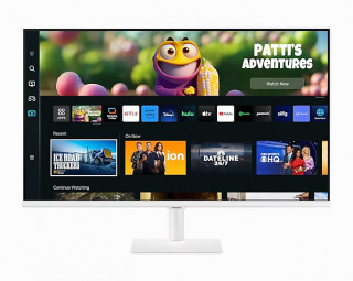 SAMSUNG 32" FHD VA 16:9 4ms smart monitor (LS32CM501EUXDU) PC