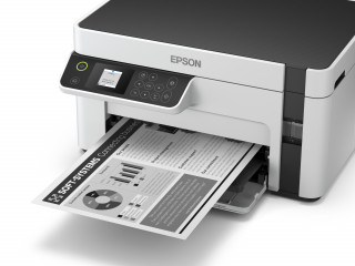 Epson M2120 A4 fekete-fehér háromfunkciós PC