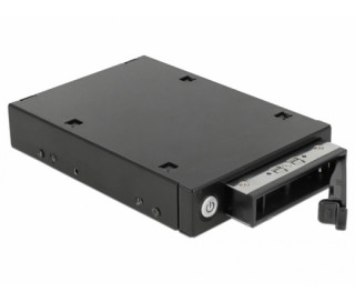 DeLock 3.5” Mobile Rack for 1x2,5” U.2 NVMe SSD or SATA / SAS HDD / SSD PC