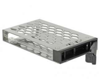 DeLock 3.5” Mobile Rack for 1x2,5” U.2 NVMe SSD or SATA / SAS HDD / SSD PC