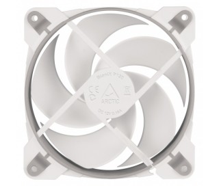 Arctic BioniX P120 Grey/White PC