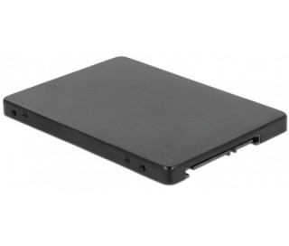 DeLock 2,5" SATA to M.2 NGFF with Enclosure PC