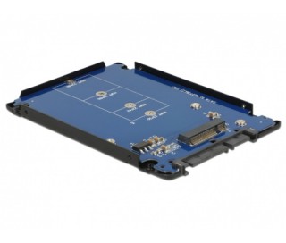 DeLock 2,5" SATA to M.2 NGFF with Enclosure PC