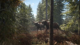 TheHunter: Call of the Wild (Letölthető) PC