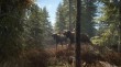 TheHunter: Call of the Wild (Letölthető) thumbnail