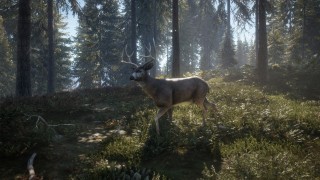 TheHunter: Call of the Wild (Letölthető) PC