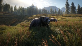 TheHunter: Call of the Wild (Letölthető) PC