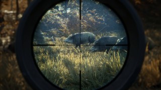 TheHunter: Call of the Wild (Letölthető) PC