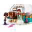 LEGO Friends: Friends: Kalandos vakáció az igluban (41760) thumbnail