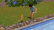 The Sims 3 Házi kedvenc (Pets) thumbnail