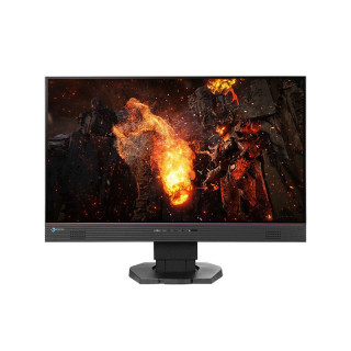 EIZO 24" FS2434 GAMING monitor PC