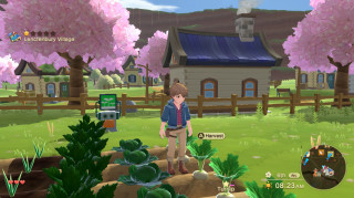 Harvest Moon: The Winds of Anthos  Nintendo Switch