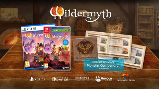 Wildermyth Nintendo Switch